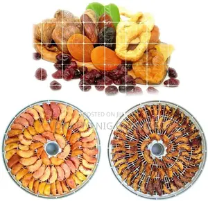 Kenwood Dehydrator for Food Fruit