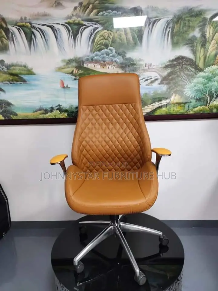 Italian Unique Executive Office Chairs
