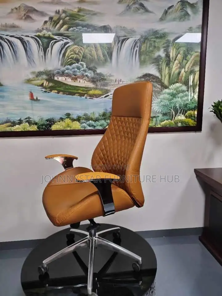 Italian Unique Jackson Executive Office Chairs