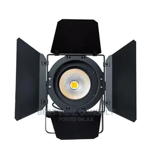 Cob Led Par Light