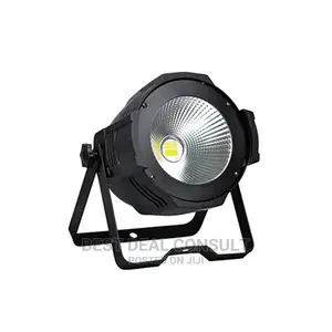Cob Led Par Light