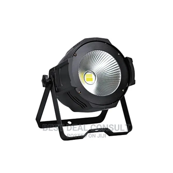 Cob Led Par Light