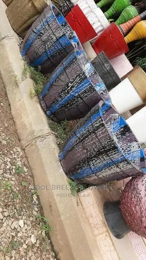 Air Purifying Plants