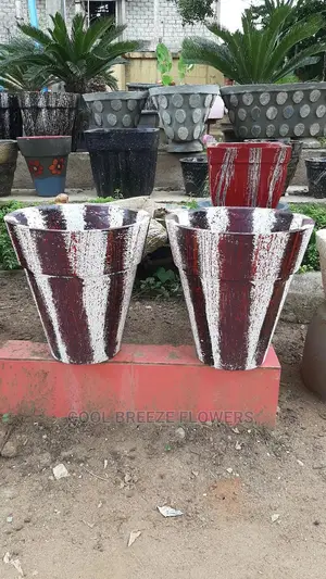 Air Purifying Plants