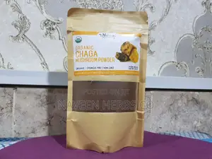Organic Chaga Mushroom Powder (100g)
