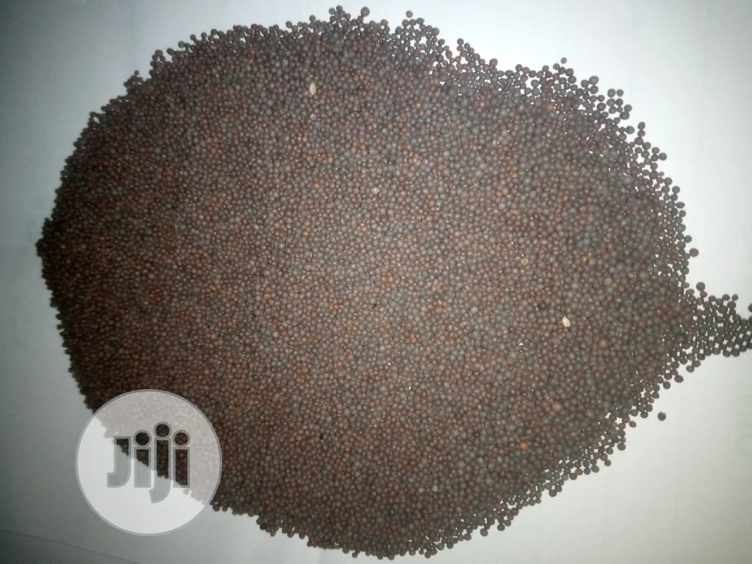 Mustard Seeds