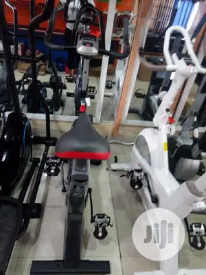 Spinig Bike
