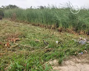 Land With Amac Cofo for Sale at Abuja