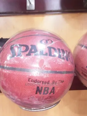 Spalding Basketball