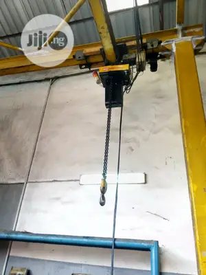 5 Tons Complete Electric Overhead Hoist for Sale