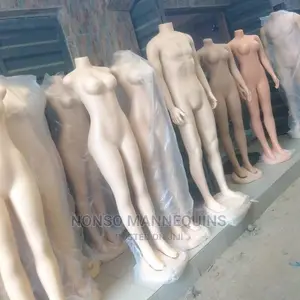Different Types Of Headless And Armless Plastic Mannequins