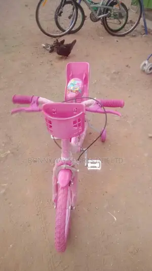 Children Size 20 Bicycle