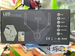 LED Light Double Arm