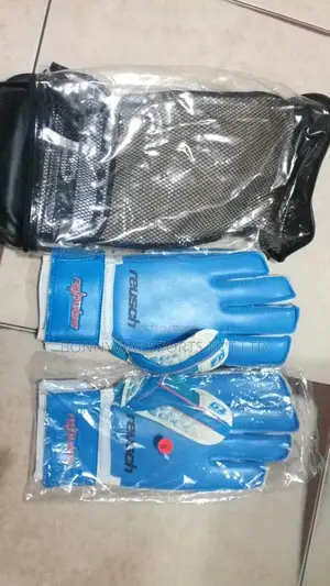 Reusch Professional Keeper Glove