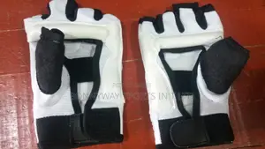 Taekwondo Gloves
