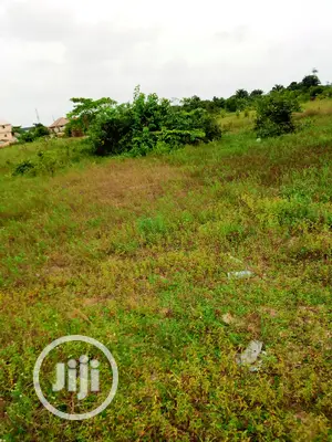 This Lands Is C of O Documents at Beechwood Estate