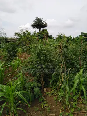 For Sale; Commercial 3 Plots of Land at dimu Ejigbo