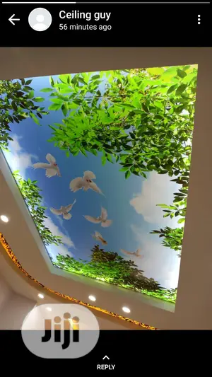 Stretch Ceiling With Light Inside