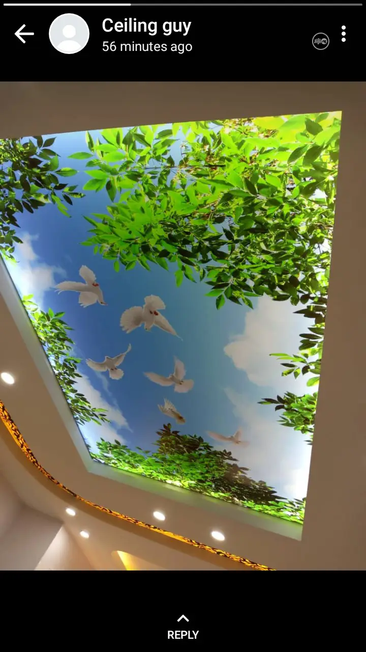Stretch Ceiling With Light Inside