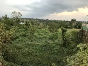 1acre of Land Facing Express Owode Ede, Gbongan Road, Osogbo