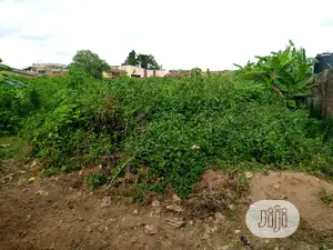 2 Plots and Half at Tinumola Area Oshogbo