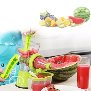 Fruit Juicer