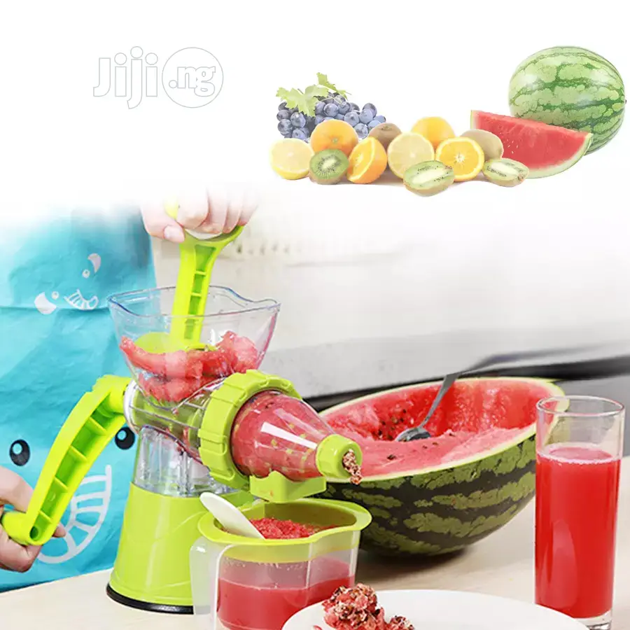Fruit Juicer