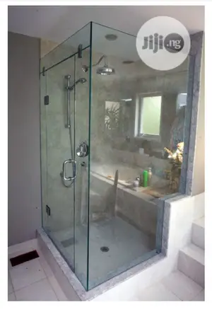 Shower Door