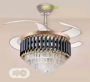 Light With Fan