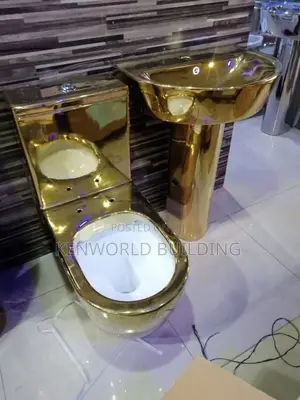 Executive Gold Toilet and Basin Set