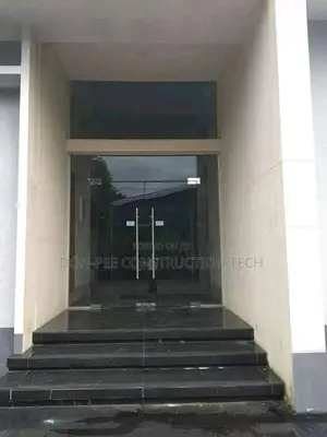Frameless Glass Door
