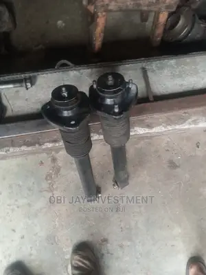 BMW X5 Back Shock
