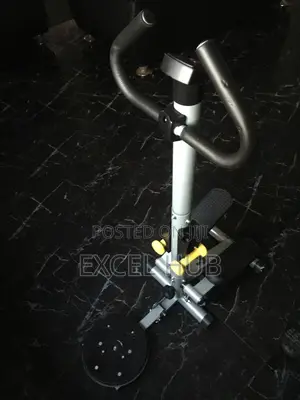 504 Standing Stepper With Stepper, Twister And Dummbell Sy0