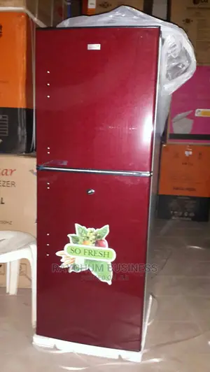 Freezclime Up Right Fridge and Freezer 300liters