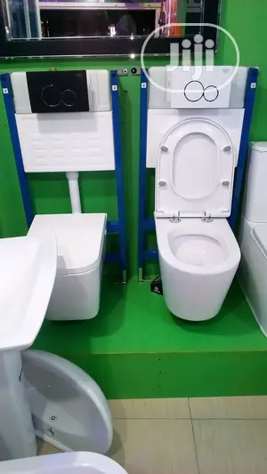 Concealed Tank and Wc
