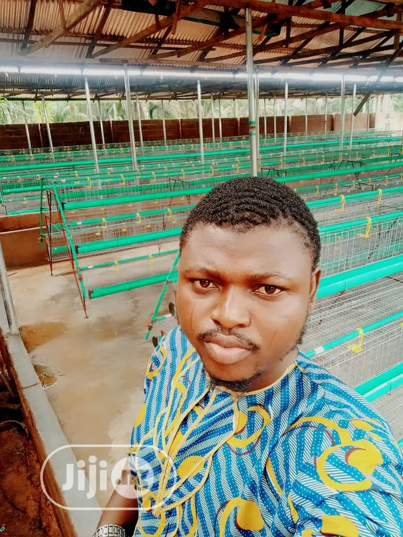 Battery Cage