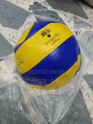 Mikasa Volleyball 4441