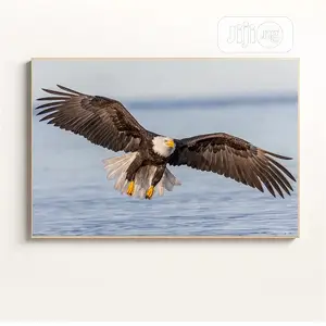 Flying Bird Artwork With Frame