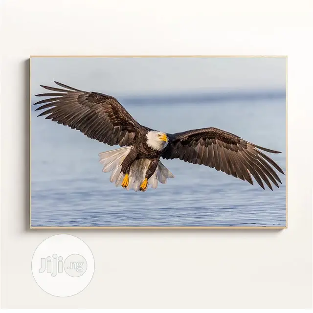 Flying Bird Artwork With Frame