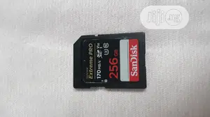 Sandisk Extreme PRO 256gb