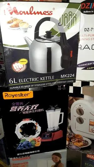 Mouniless Electric Kettle