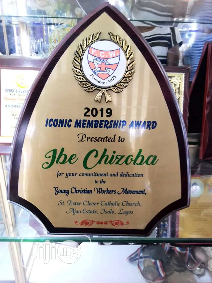 Awards And Plagues