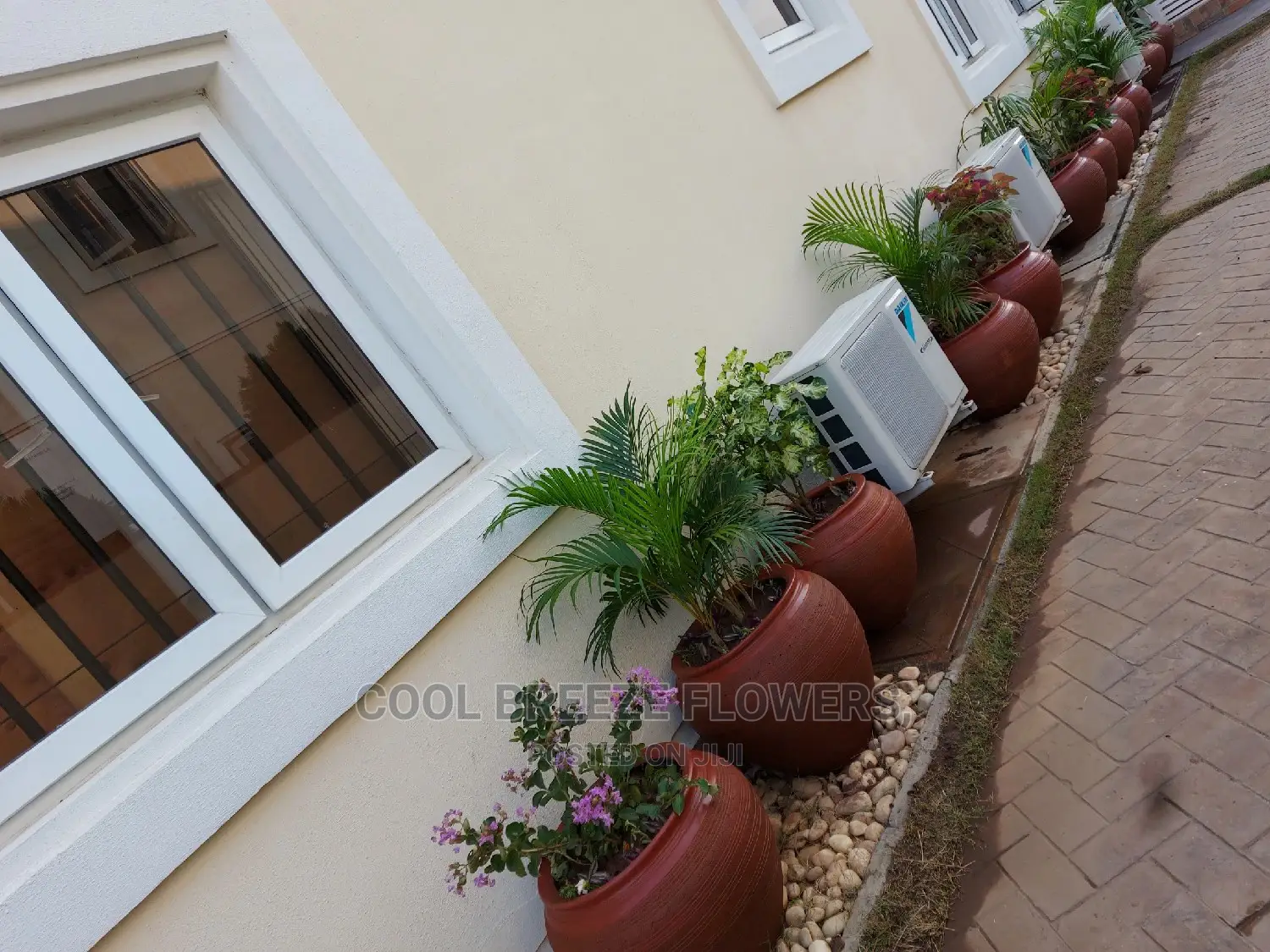 Air Purifiers For Indoors And Outdoors