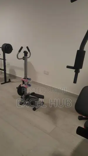 Standing Stepper With Accessories 11198
