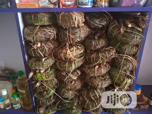 Original Aju Mbaise For Fertility