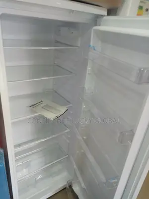 Essentials Single Door Standing Fridge.