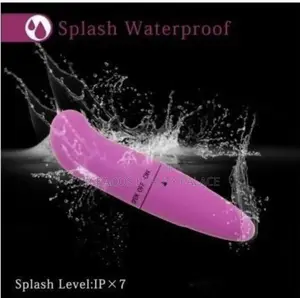 Sex Toy Powerful Dolphin Mini G Spot Vibrator Sex Toy for Pr