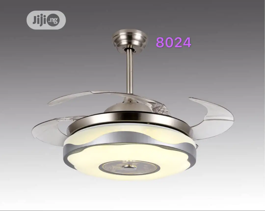 Light With Fan