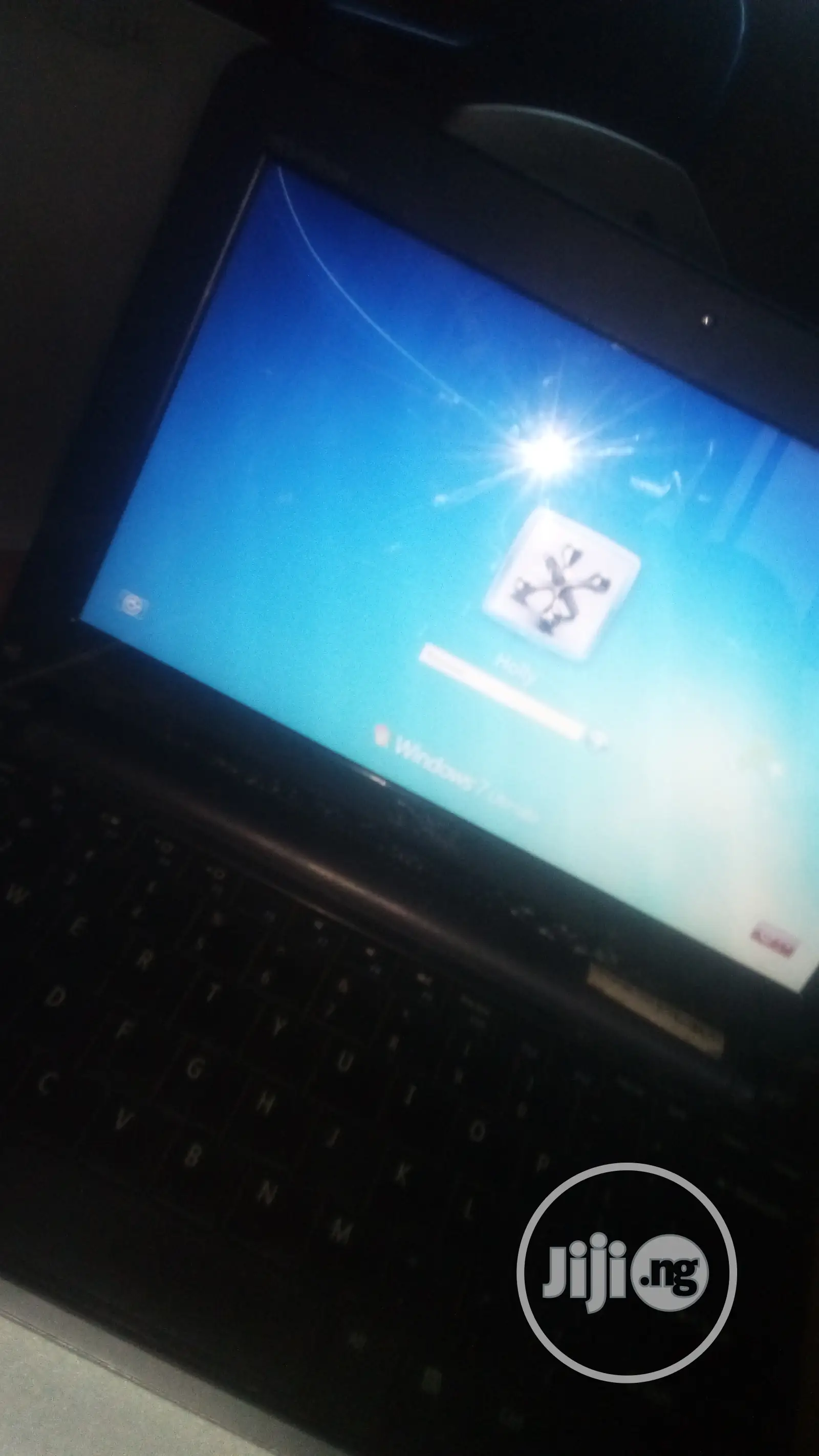 Website Developer