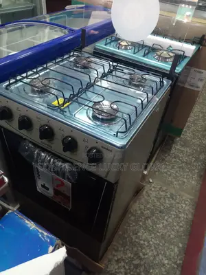 Scanfrost Burner and Oven